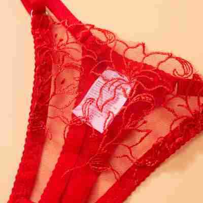 Red Sheer Lace Garter Lingerie Ensemble Lace Details